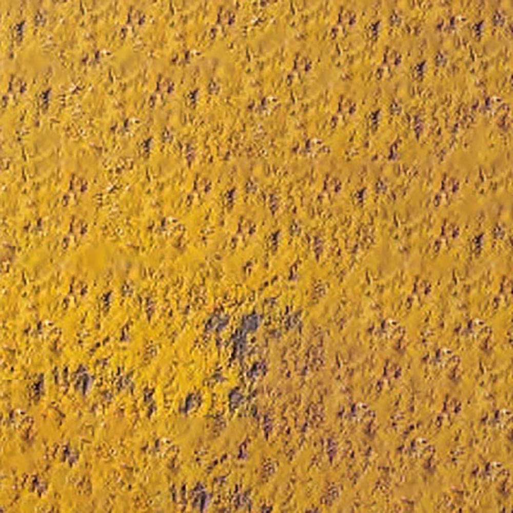 Caran d'Ache Pastel Pencil Ochre 035