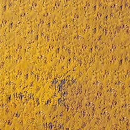 Caran d'Ache Pastel Pencil Ochre 035
