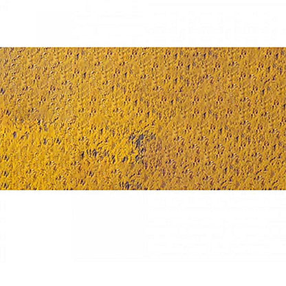 Caran d'Ache Pastel Pencil Ochre 035