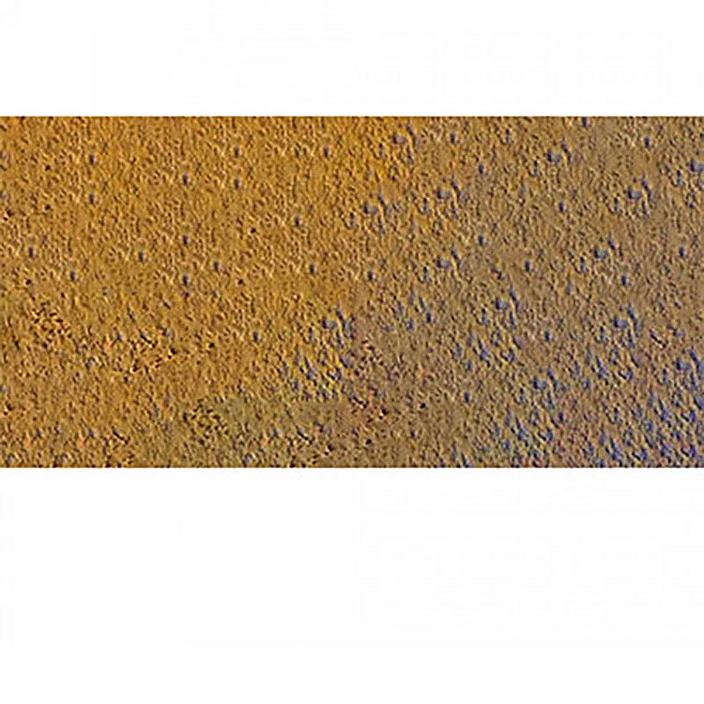 Caran d'Ache Pastel Pencil Raw Sienna 036