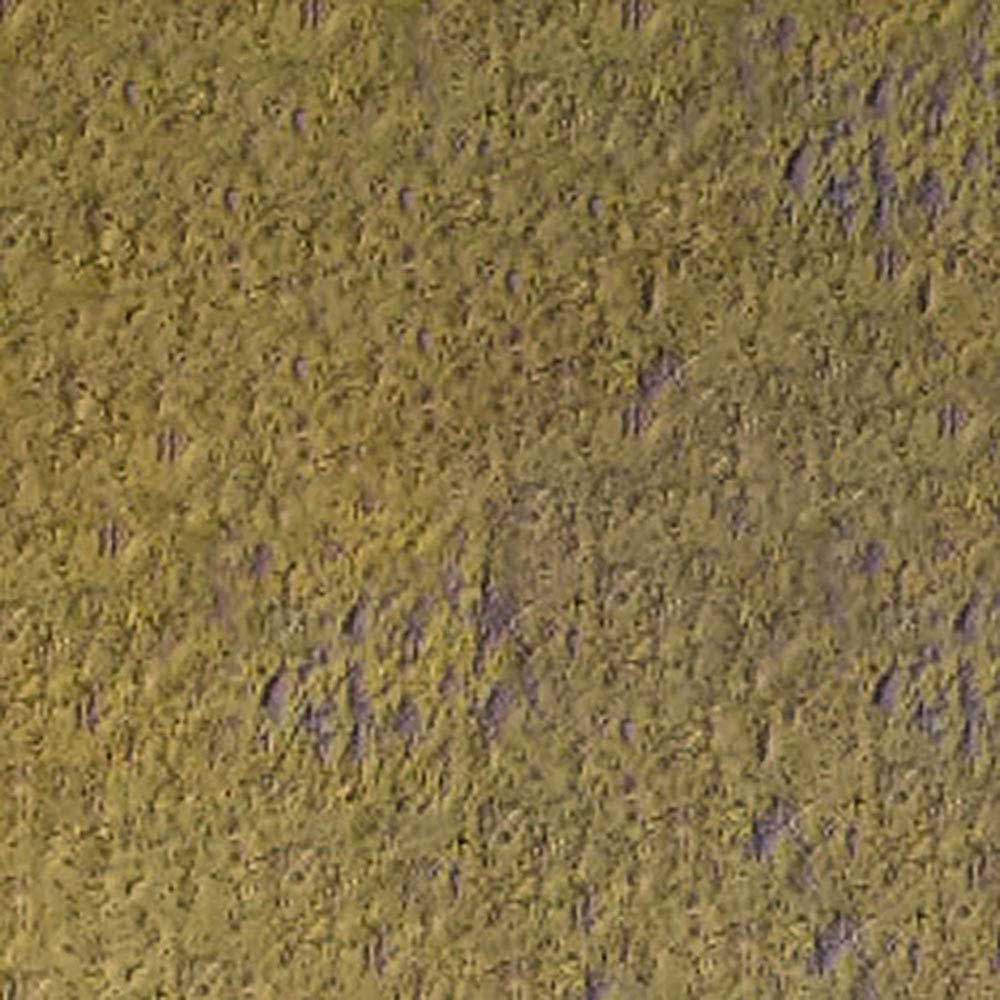 Caran d'Ache Pastel Pencil Olive Brown 039