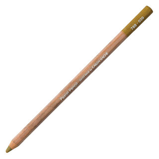 Caran d'Ache Pastel Pencil Olive Brown 039