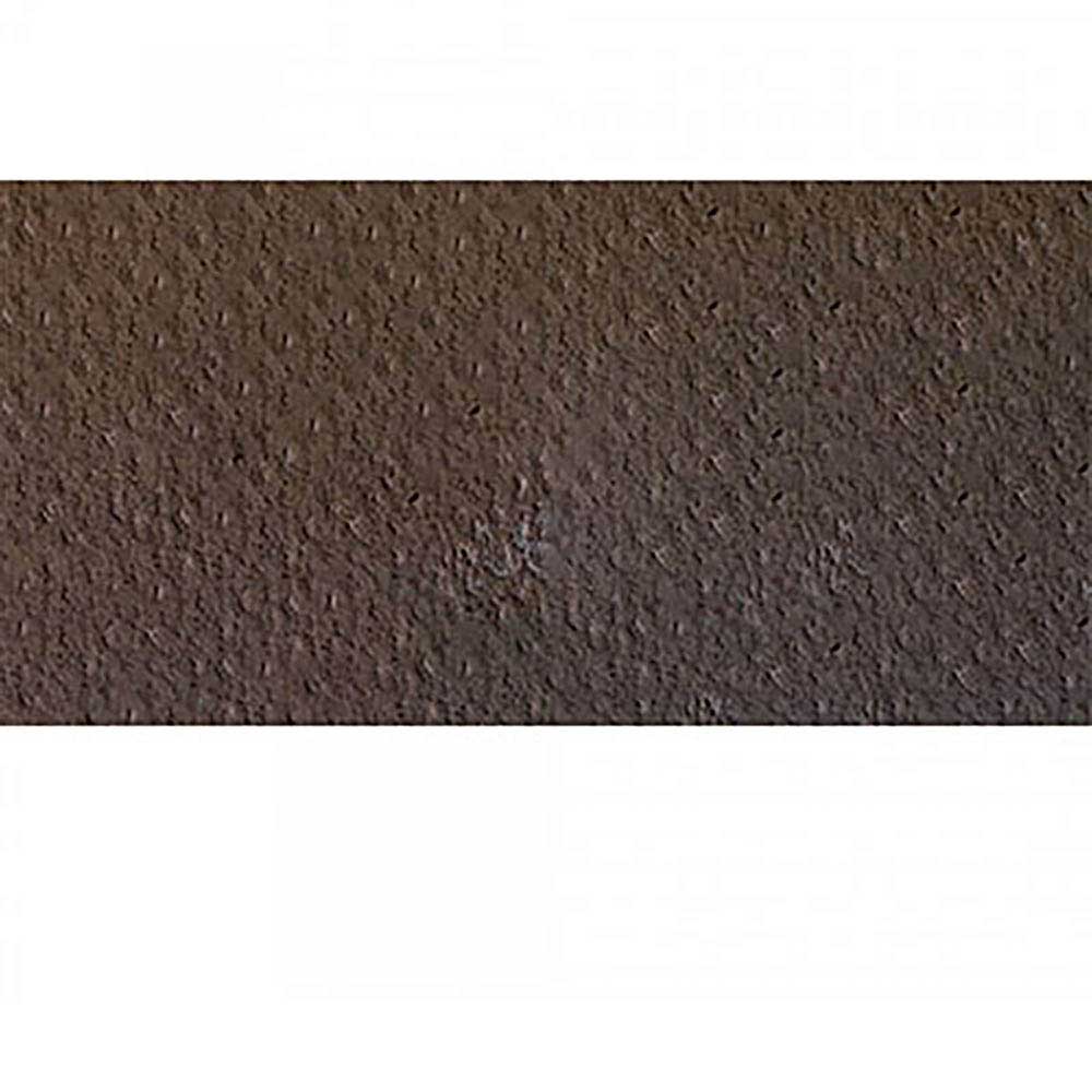 Caran d'Ache Pastel Pencil Cassel Earth 046