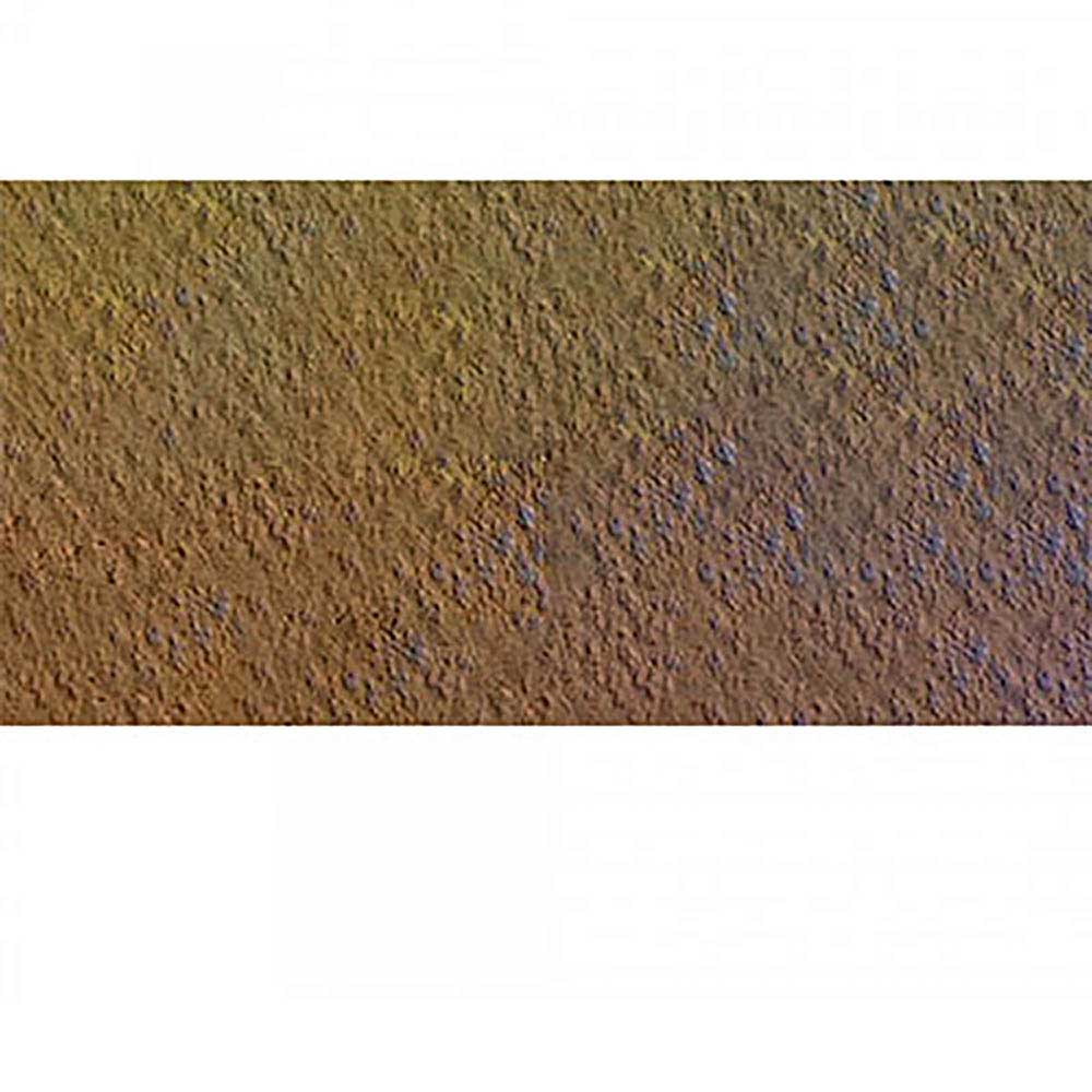 Caran d'Ache Pastel Pencil Bistre 047