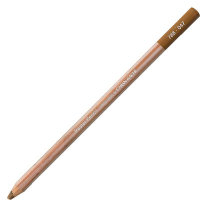 Caran d'Ache Pastel Pencil Bistre 047