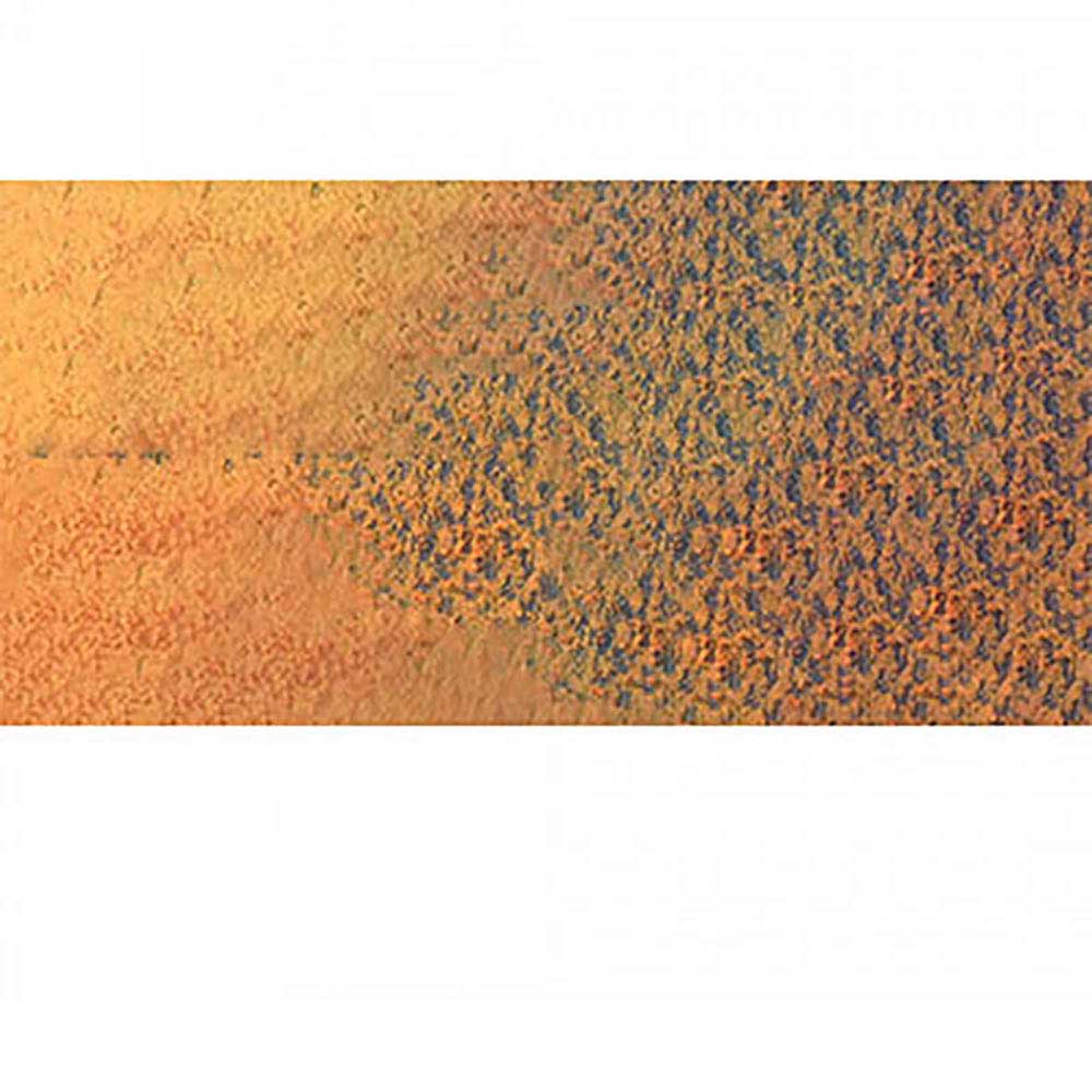 Caran d'Ache Pastel Pencil Saffron 052