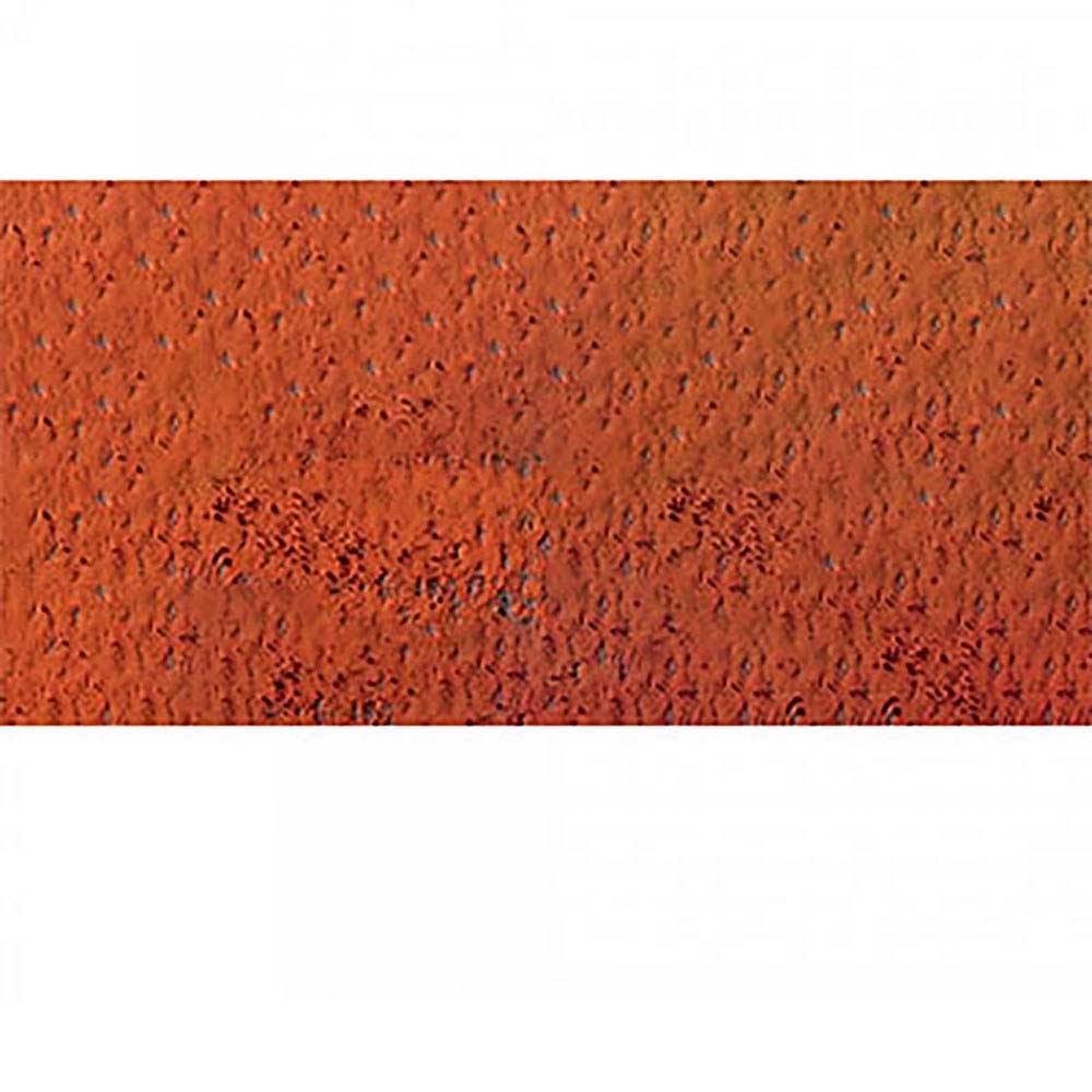 Caran d'Ache Pastel Pencil Raw Russet 066