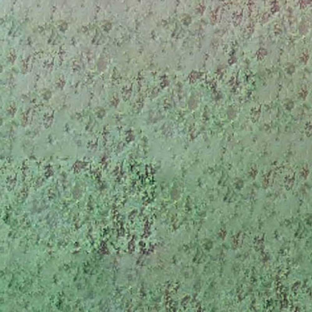 Caran d'Ache Pastel Pencil Chromium Oxide Green 212
