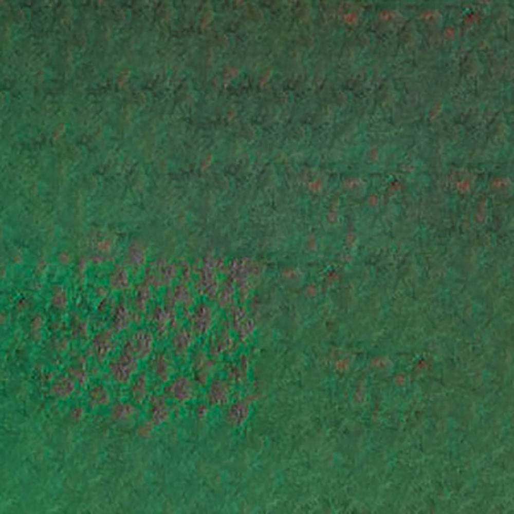 Caran d'Ache Pastel Pencil Moss Green 225