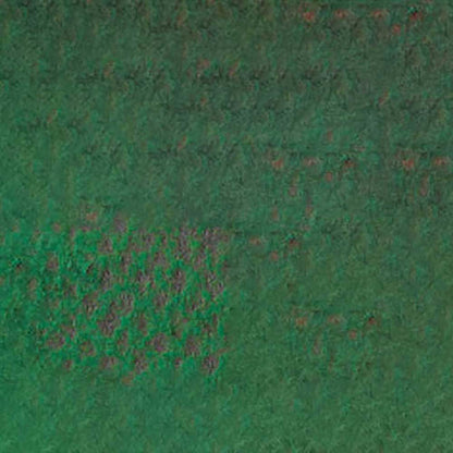 Caran d'Ache Pastel Pencil Moss Green 225