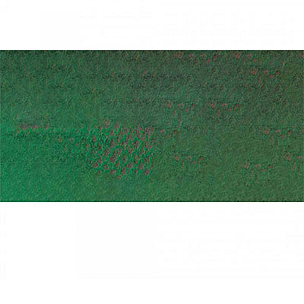 Caran d'Ache Pastel Pencil Moss Green 225