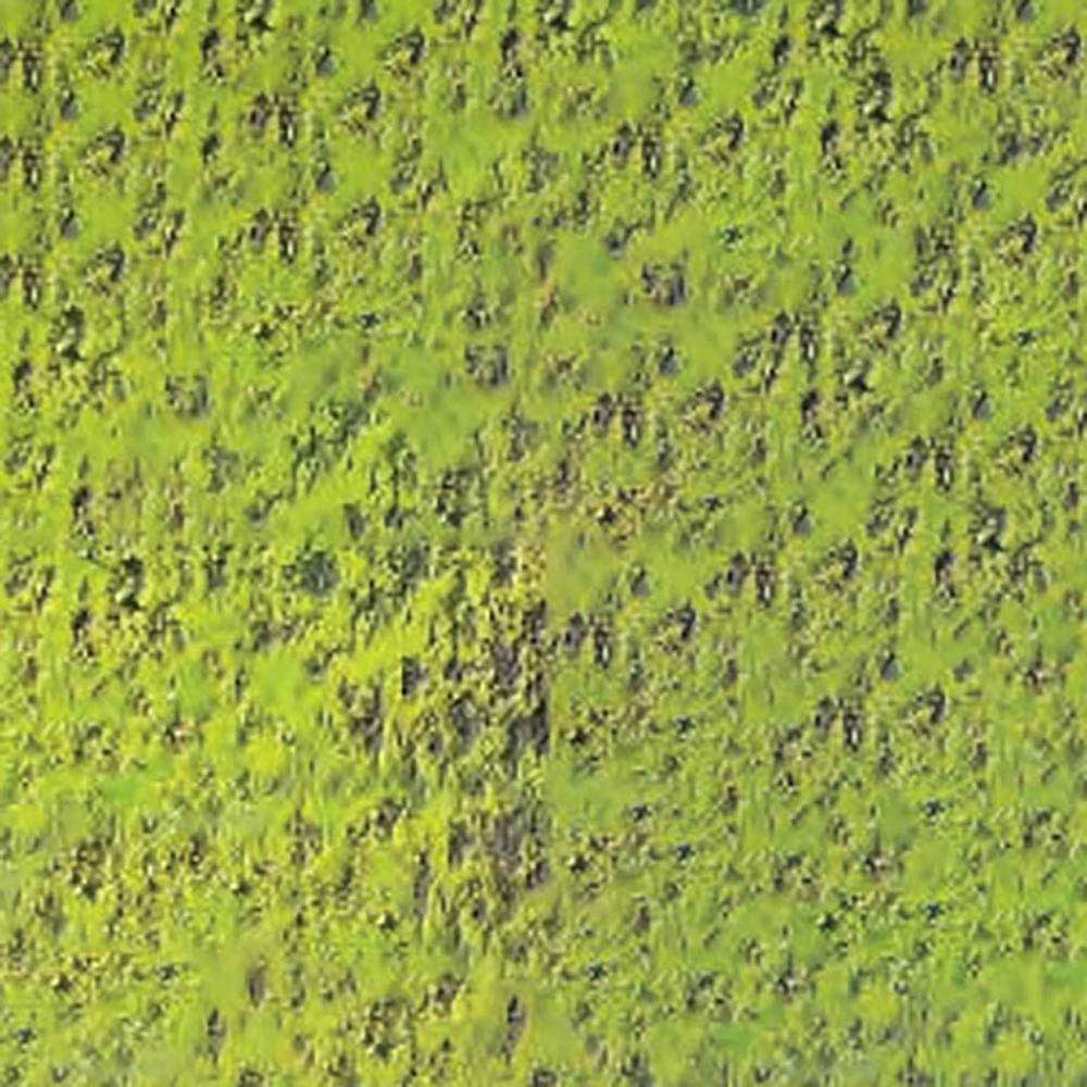 Caran d'Ache Pastel Pencil Middle Moss green 10% 232