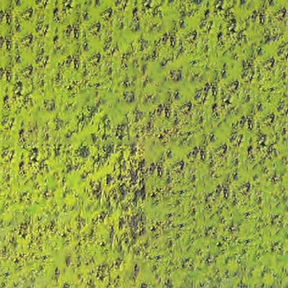 Caran d'Ache Pastel Pencil Middle Moss green 10% 232