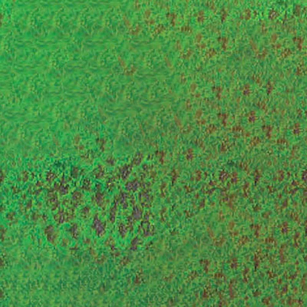 Caran d'Ache Pastel Pencil Middle Moss green 30% 234