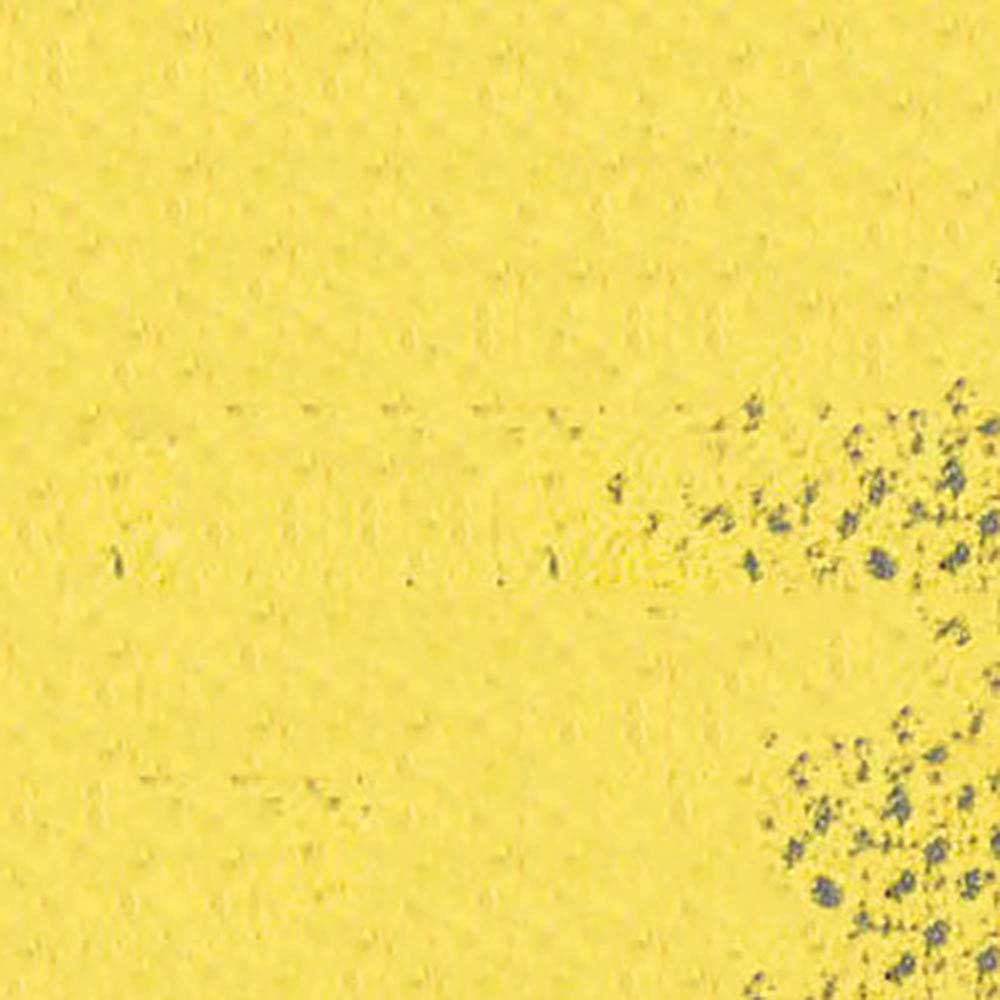 Caran d'Ache Pastel Pencil Lemon Yellow 240