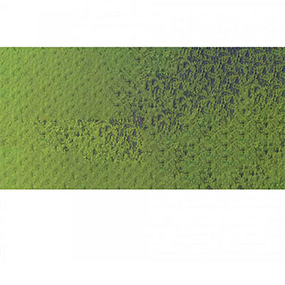Caran d'Ache Pastel Pencil Light Olive 40% 245
