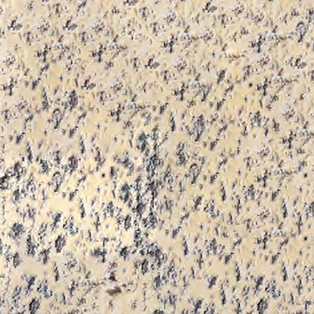 Caran d'Ache Pastel Pencil Light Flesh 5% 541