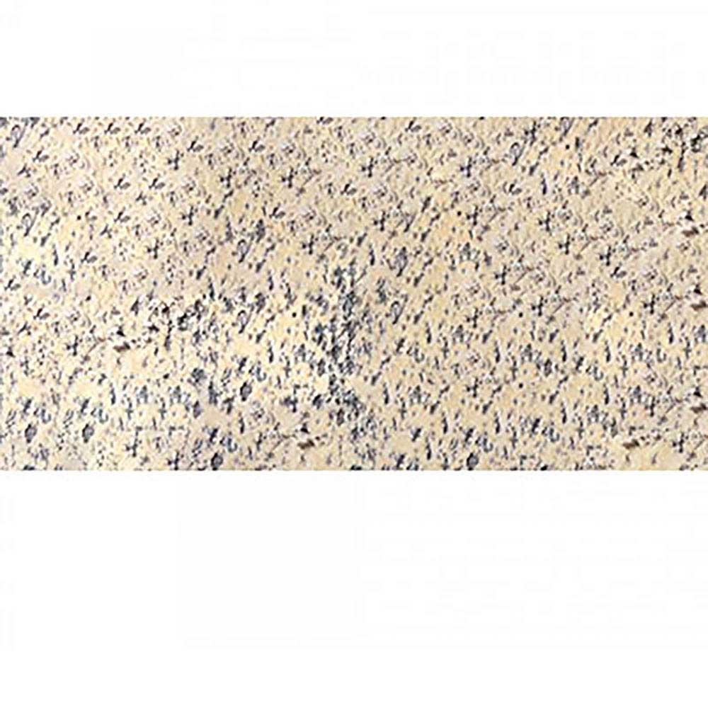 Caran d'Ache Pastel Pencil Light Flesh 5% 541