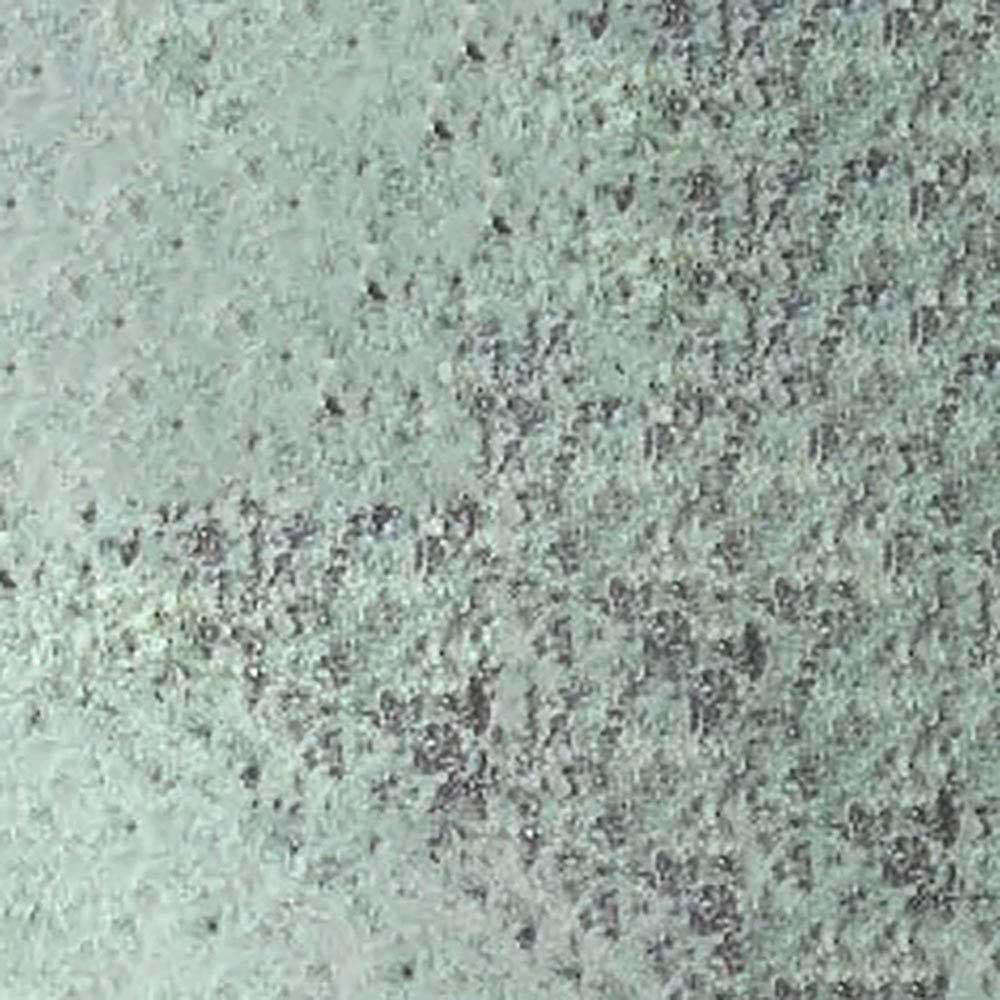 Caran d'Ache Pastel Pencil Earth Green 711