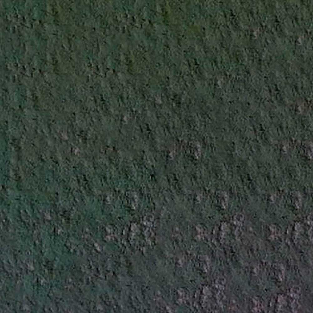 Caran d'Ache Pastel Pencil Dark Phthalo Green 719
