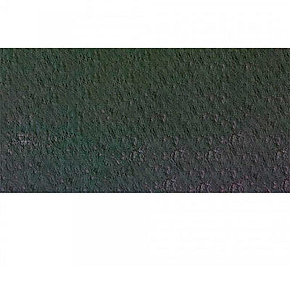 Caran d'Ache Pastel Pencil Dark Phthalo Green 719