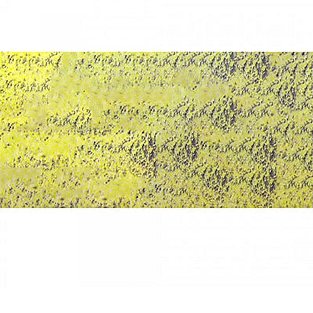 Caran d'Ache Pastel Pencil Chinese Green 730