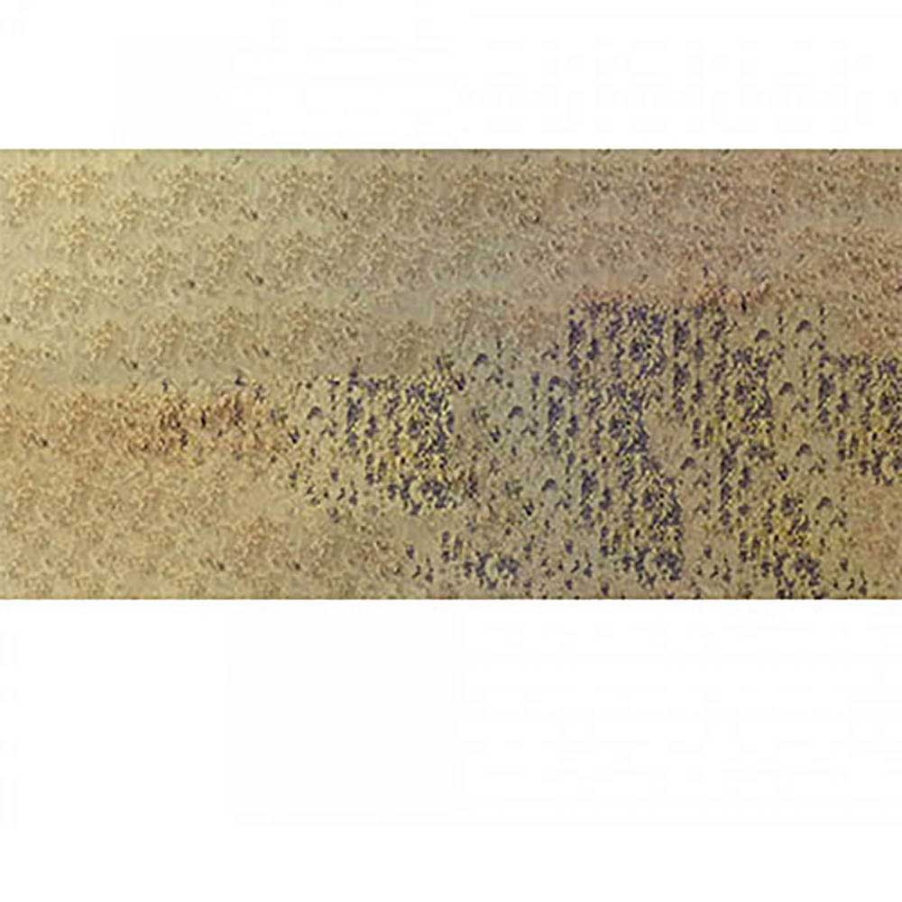 Caran d'Ache Pastel Pencil Brown Olive 50% 736