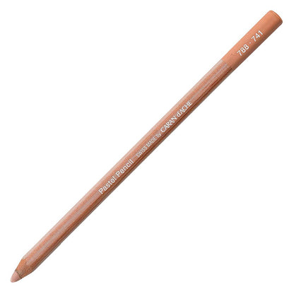 Caran d'Ache Pastel Pencil Warm Earth 5% (Dark Flesh) 741