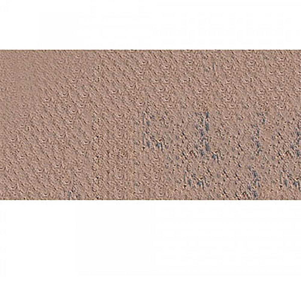 Caran d'Ache Pastel Pencil Dark Flesh 50% 746