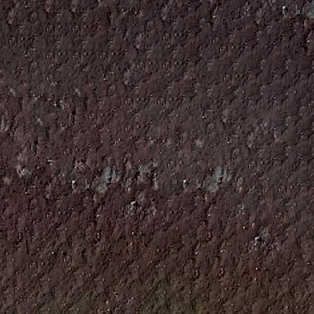 Caran d'Ache Pastel Pencil Dark Flesh 748