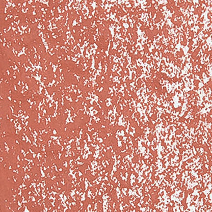 Caran d'Ache Neoart 6901 Russet 065