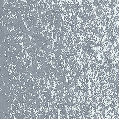 Caran d'Ache Neoart 6901 Slate Grey 495