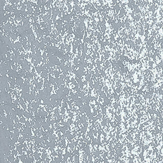Caran d'Ache Neoart 6901 Payne's Grey 504