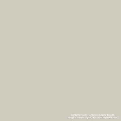 Caran d'Ache 8021 Ink Cartridges Chromatics Infinite Grey
