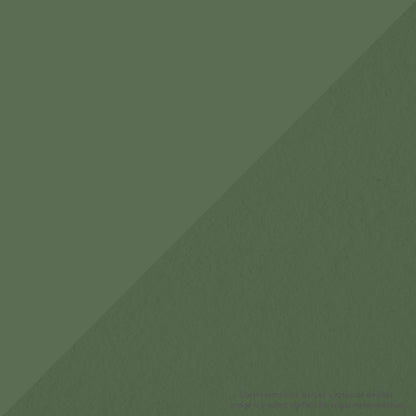 Cadence Hybrid Acrylic for Multisurfaces 2000ml Yaprak Yeşili 51