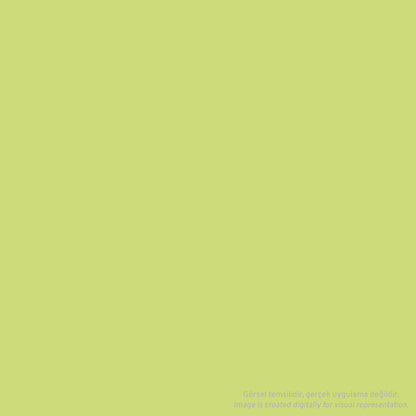 Cernit Number One Polimer Kil 56gr Lime Green 601 (Anise Green)