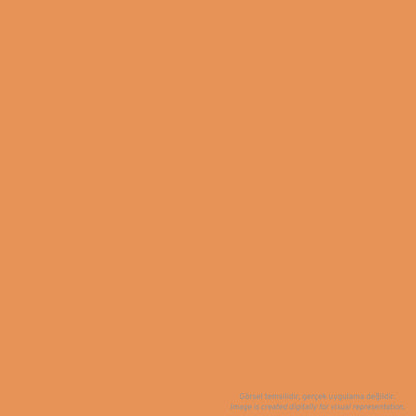 Cernit Number One Polimer Kil 56gr Orange 752