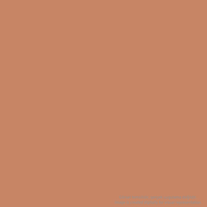 Cernit Number One Polimer Kil 56gr Caramel 807