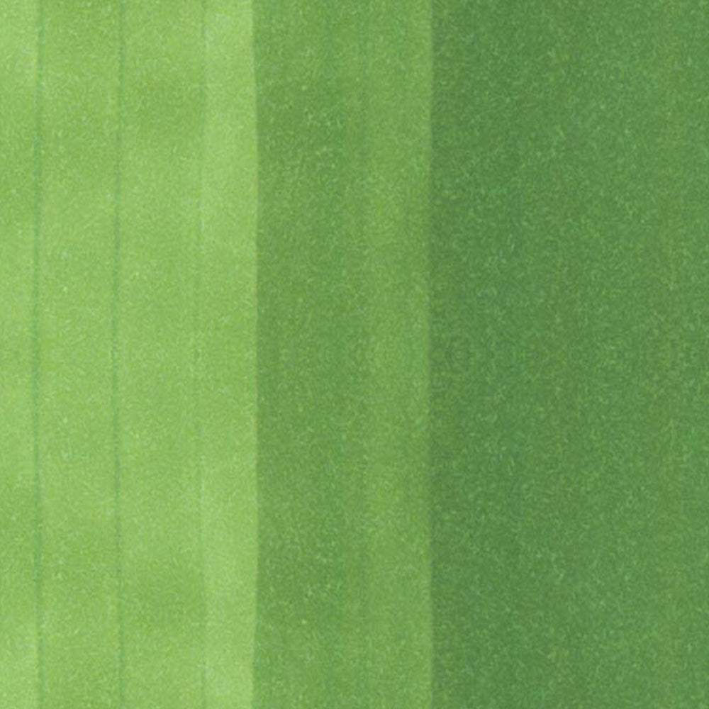 Copic Classic Marker Grass Green YG17