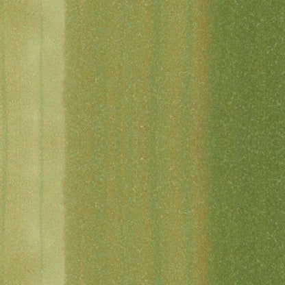 Copic Classic Marker Willow G24