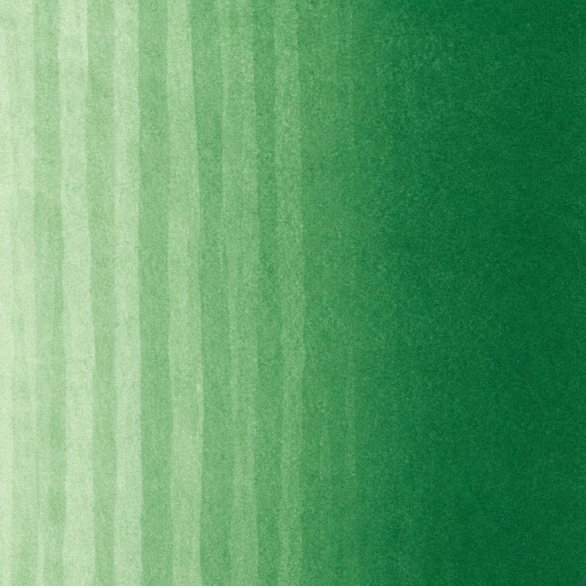 Copic Classic Marker Forest Green G17