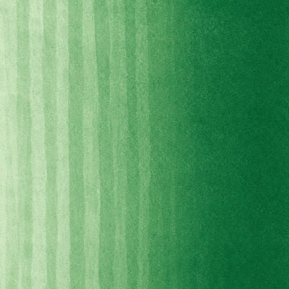Copic Classic Marker Forest Green G17