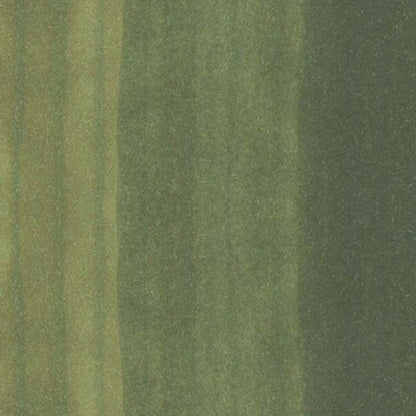 Copic Classic Marker Olive G99