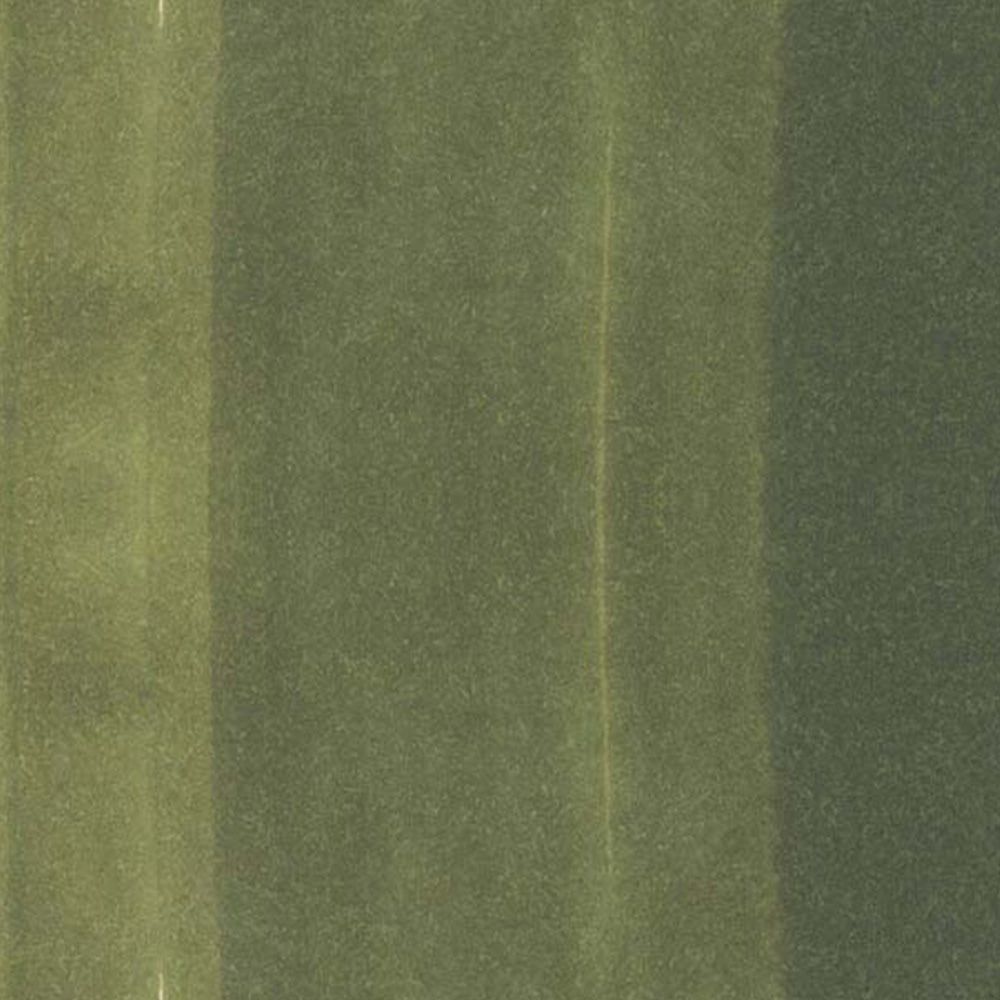 Copic Classic Marker Marine Green YG99