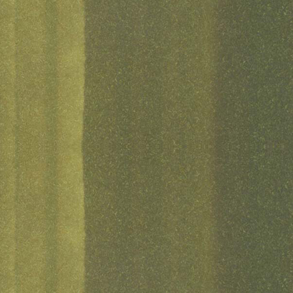 Copic Classic Marker Spanish Olive YG97