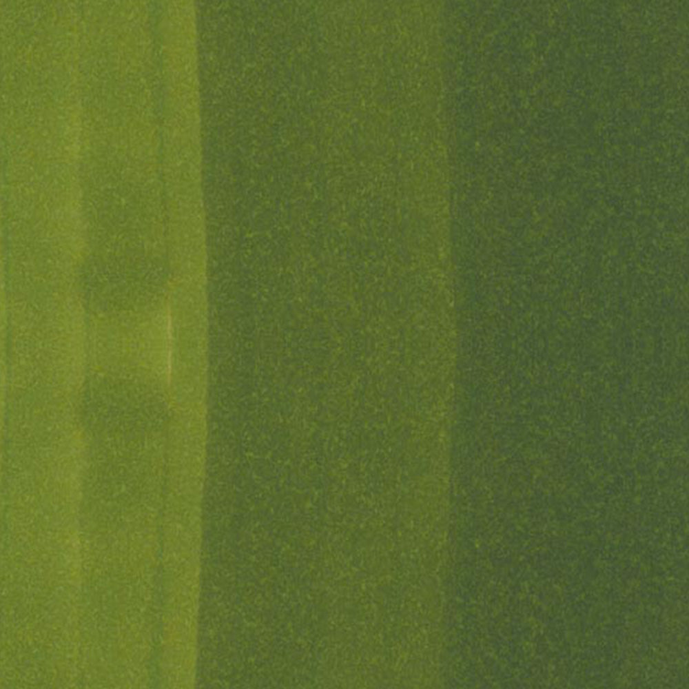 Copic Ciao Marker Pine Tree Green G29