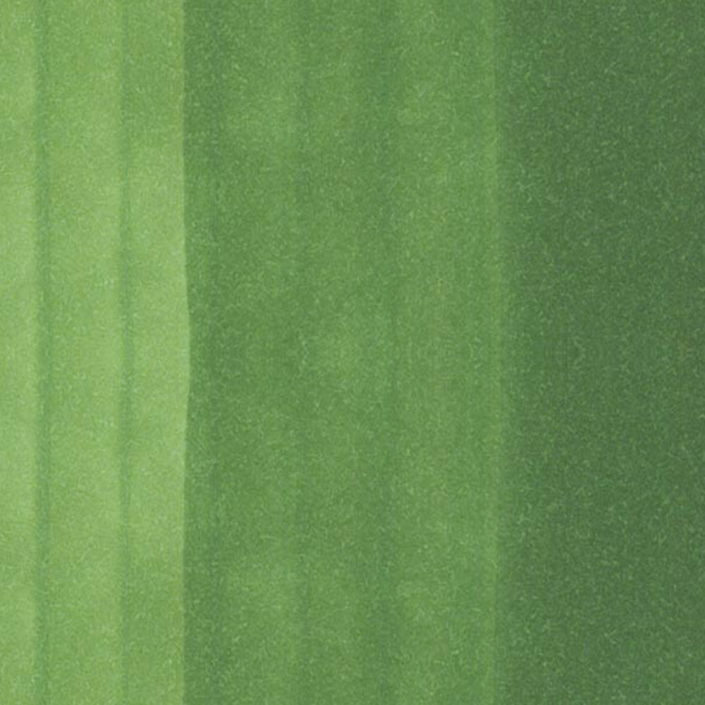 Copic Ciao Marker Moss YG67