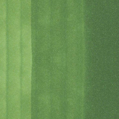 Copic Ciao Marker Moss YG67