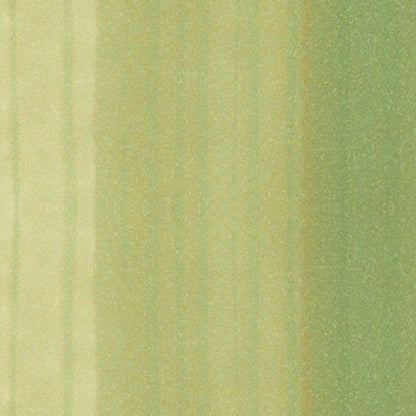 Copic Ciao Marker Spring Dim Green G82