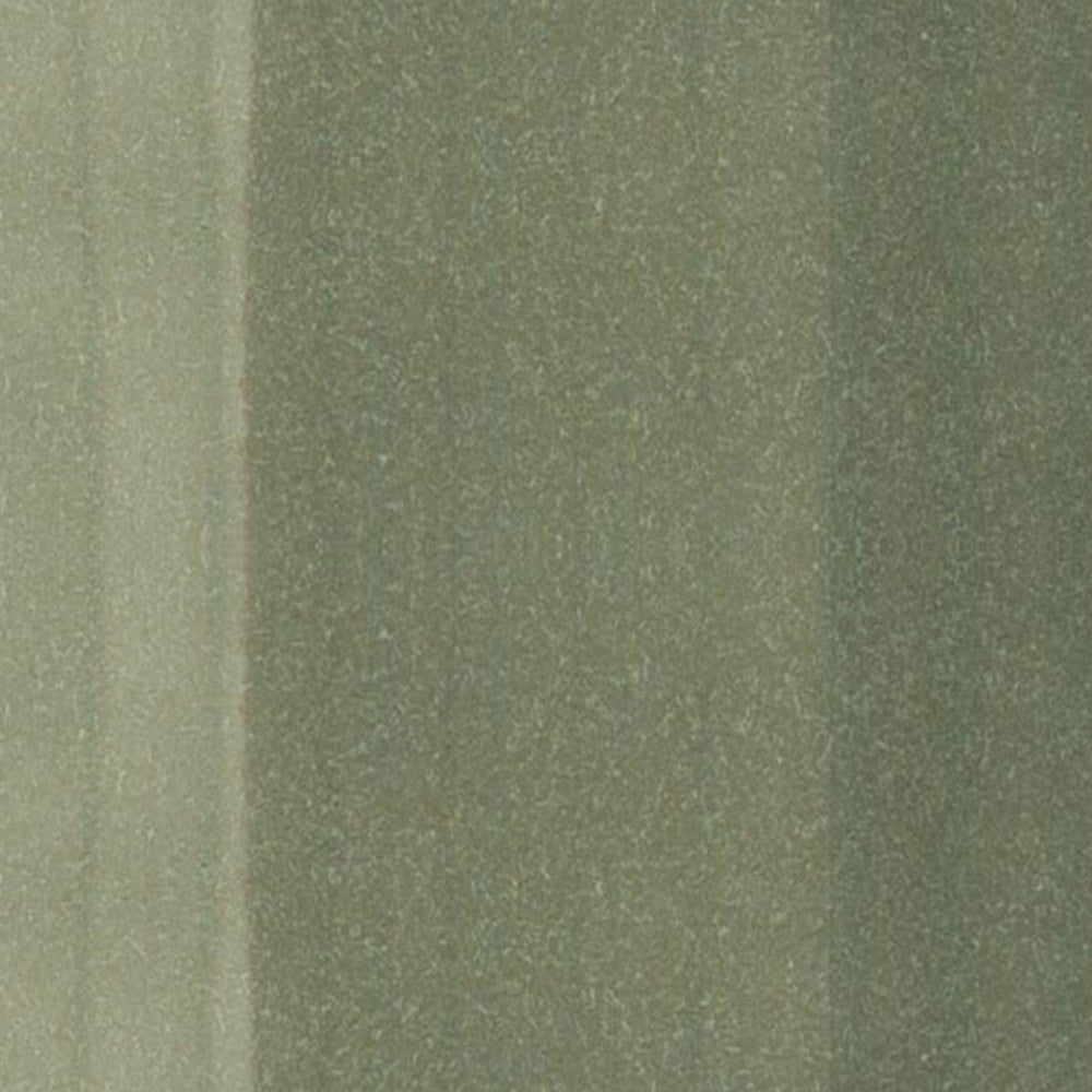 Copic Ciao Marker Green Gray BG93